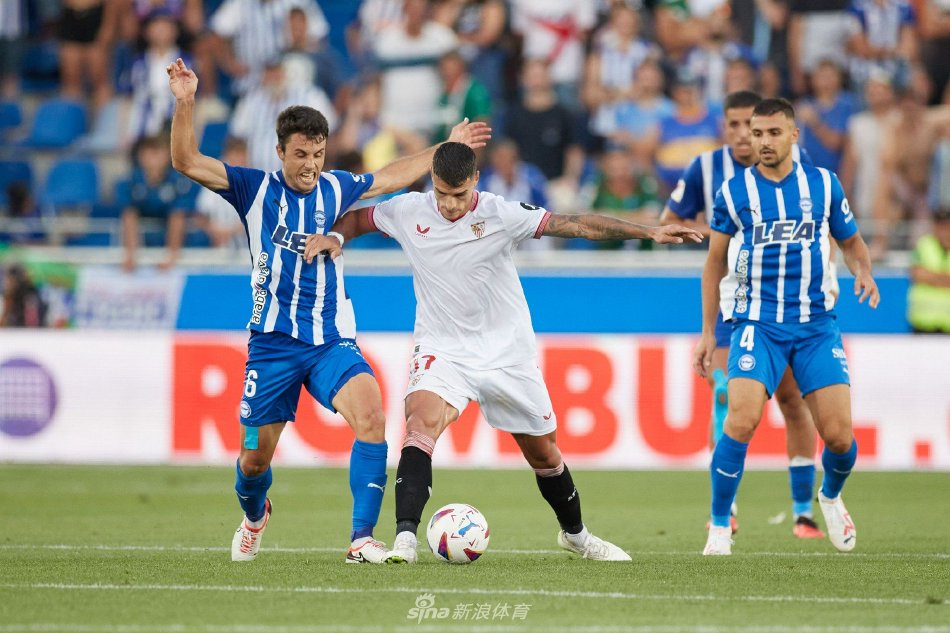 的职业生涯 的职业生涯