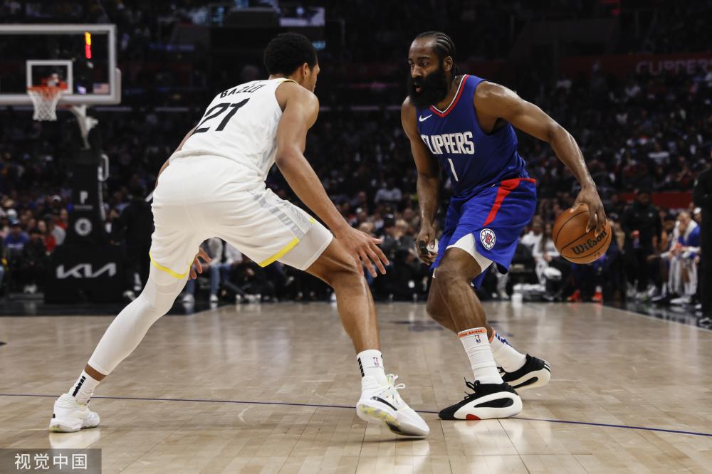 多样性与观 多样性与观